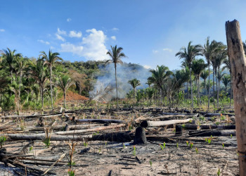 Fogo, destruição e crime ambiental em invasão de terras do INCRA na Zona Rural de Teresina